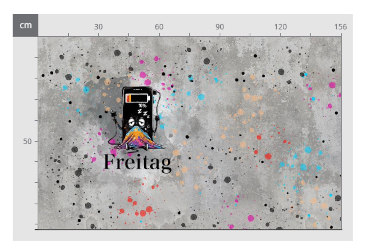 Panel Freitag Vorbestellung Streng Limitiert